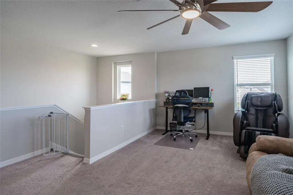 31030 Parrot Reef Court Wesley Chapel FL 33545