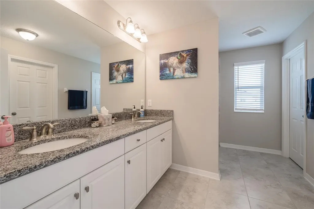 31030 Parrot Reef Court Wesley Chapel FL 33545