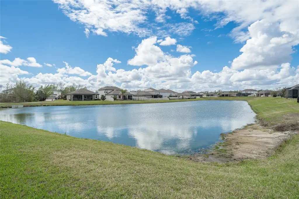31030 Parrot Reef Court Wesley Chapel FL 33545