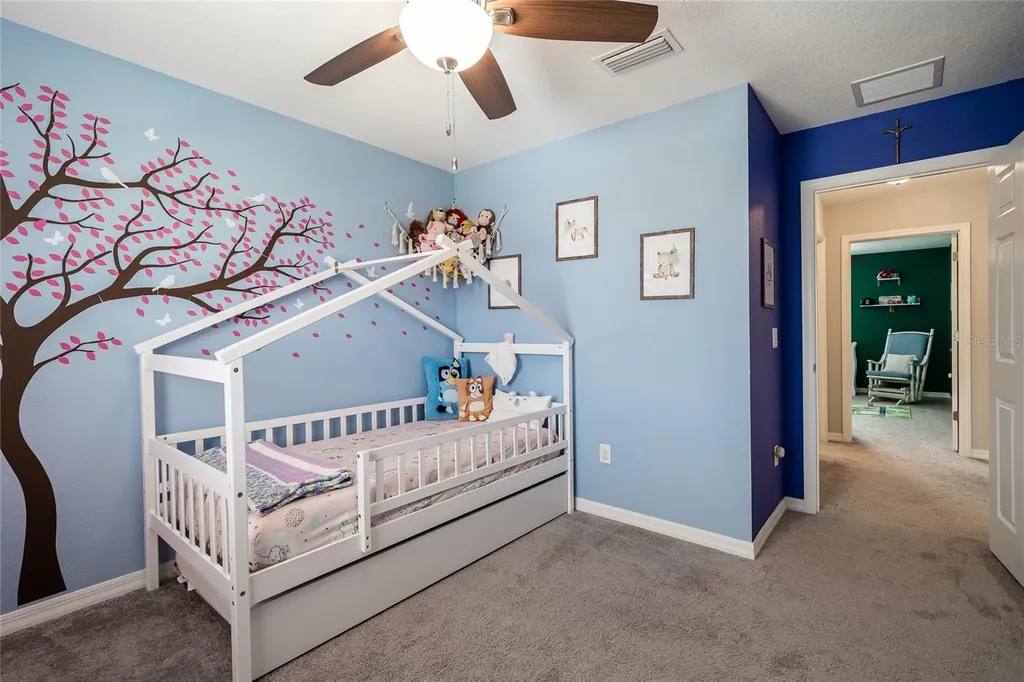 31030 Parrot Reef Court Wesley Chapel FL 33545