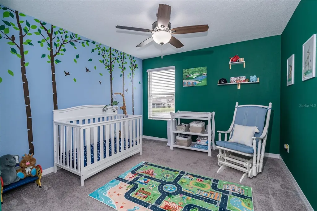 31030 Parrot Reef Court Wesley Chapel FL 33545