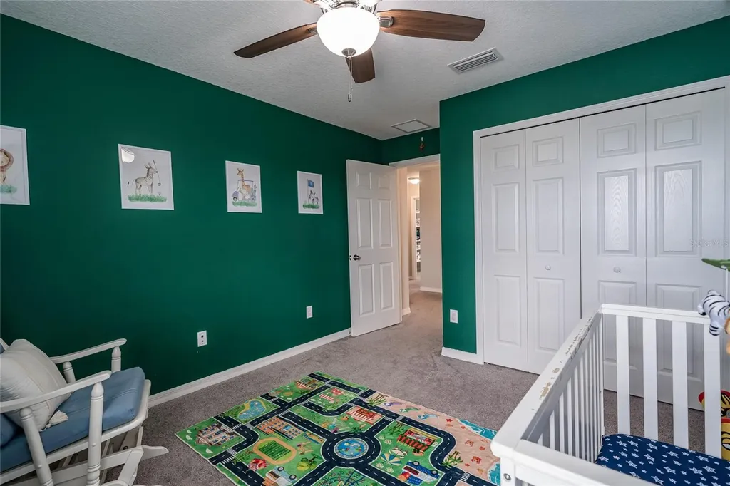 31030 Parrot Reef Court Wesley Chapel FL 33545
