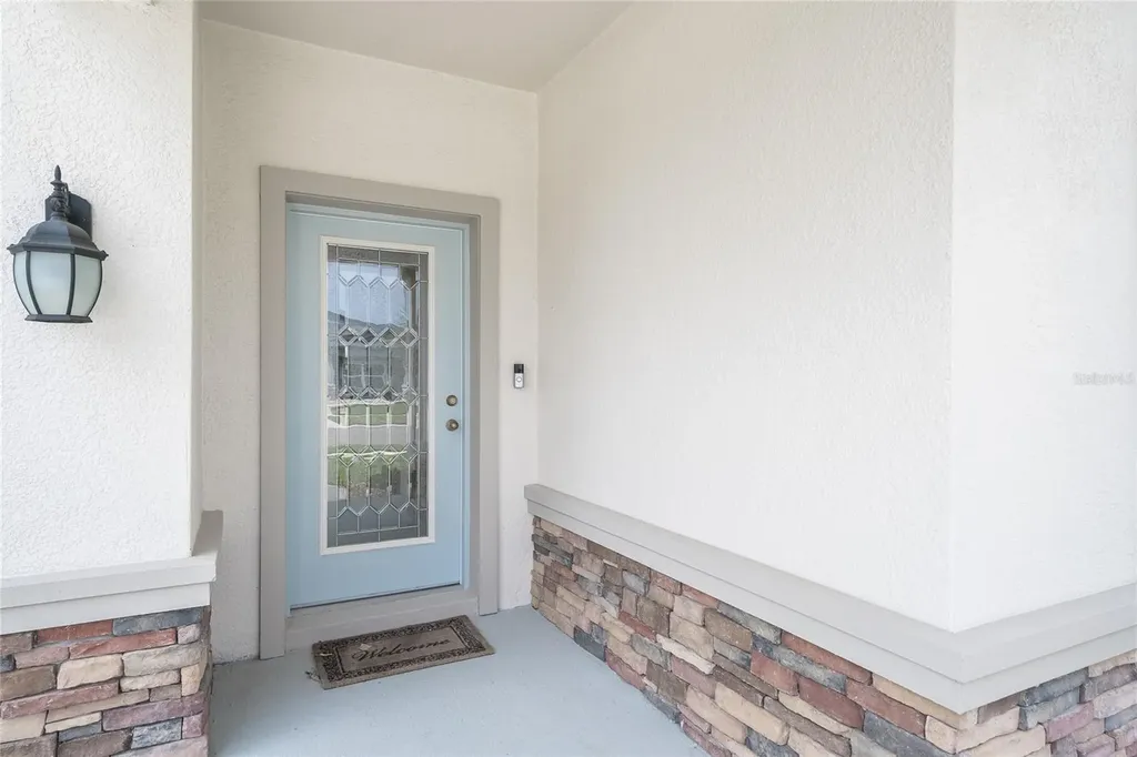 31030 Parrot Reef Court Wesley Chapel FL 33545