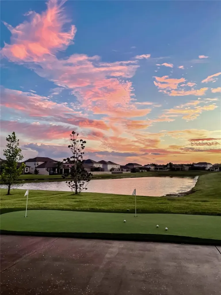31030 Parrot Reef Court Wesley Chapel FL 33545
