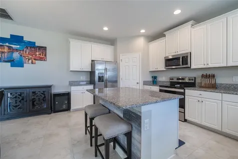 31030 Parrot Reef Court Wesley Chapel FL 33545