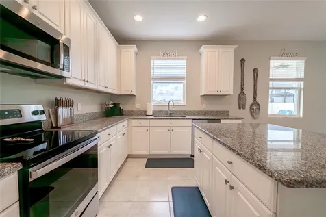 31030 Parrot Reef Court Wesley Chapel FL 33545