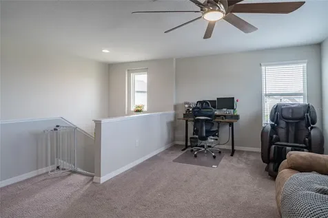 31030 Parrot Reef Court Wesley Chapel FL 33545