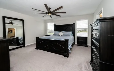 31030 Parrot Reef Court Wesley Chapel FL 33545