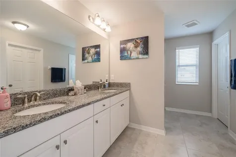 31030 Parrot Reef Court Wesley Chapel FL 33545