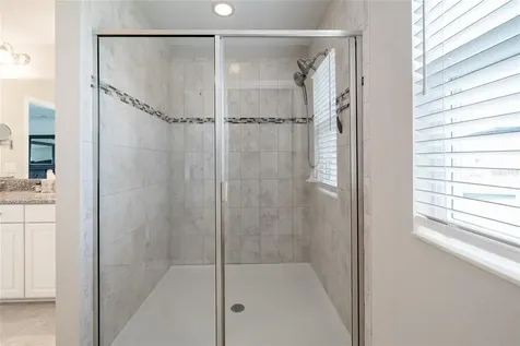 31030 Parrot Reef Court Wesley Chapel FL 33545