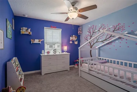 31030 Parrot Reef Court Wesley Chapel FL 33545