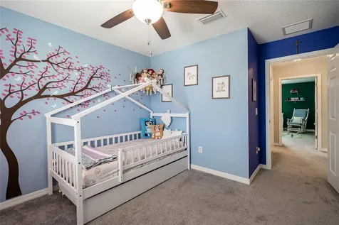 31030 Parrot Reef Court Wesley Chapel FL 33545