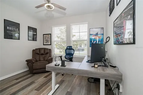 31030 Parrot Reef Court Wesley Chapel FL 33545