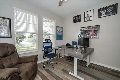 31030 Parrot Reef Court Wesley Chapel FL 33545