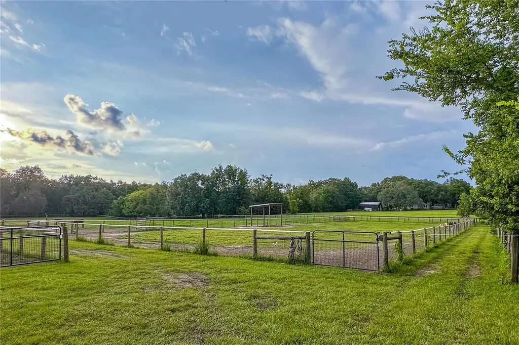 16242 NW 130th Street Williston FL 32696