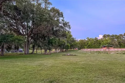 16242 NW 130th Street Williston FL 32696