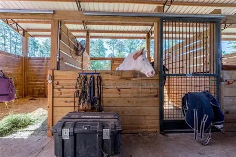 16242 NW 130th Street Williston FL 32696