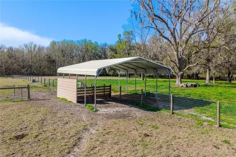 16242 NW 130th Street Williston FL 32696