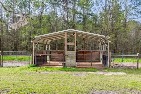 16242 NW 130th Street Williston FL 32696