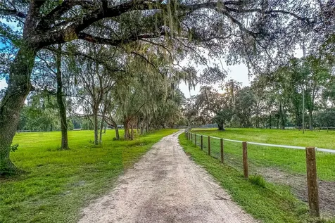 16242 NW 130th Street Williston FL 32696