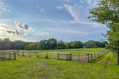 16242 NW 130th Street Williston FL 32696