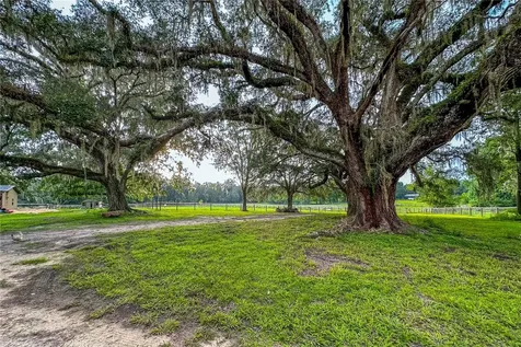 16242 NW 130th Street Williston FL 32696
