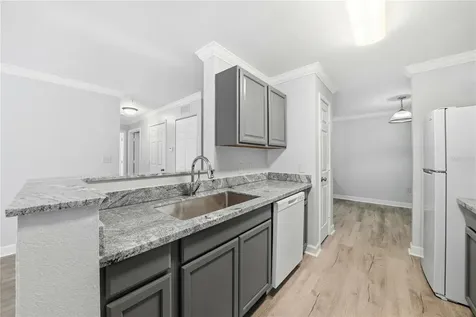 18311 Bridle Club Drive Tampa FL 33647