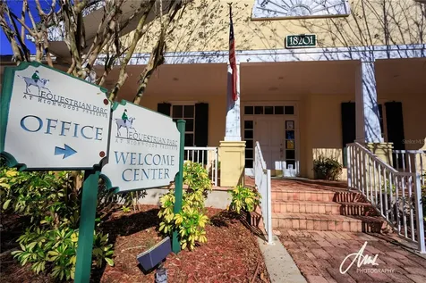 18311 Bridle Club Drive Tampa FL 33647
