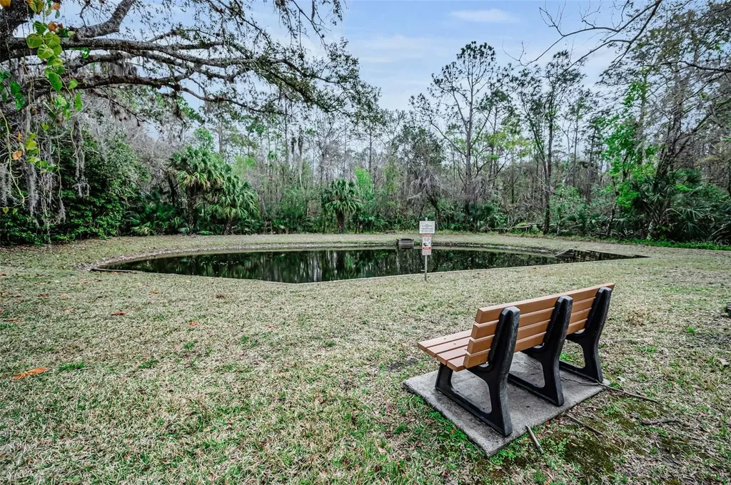 3232 Lake Pine Way E Tarpon Springs FL 34688