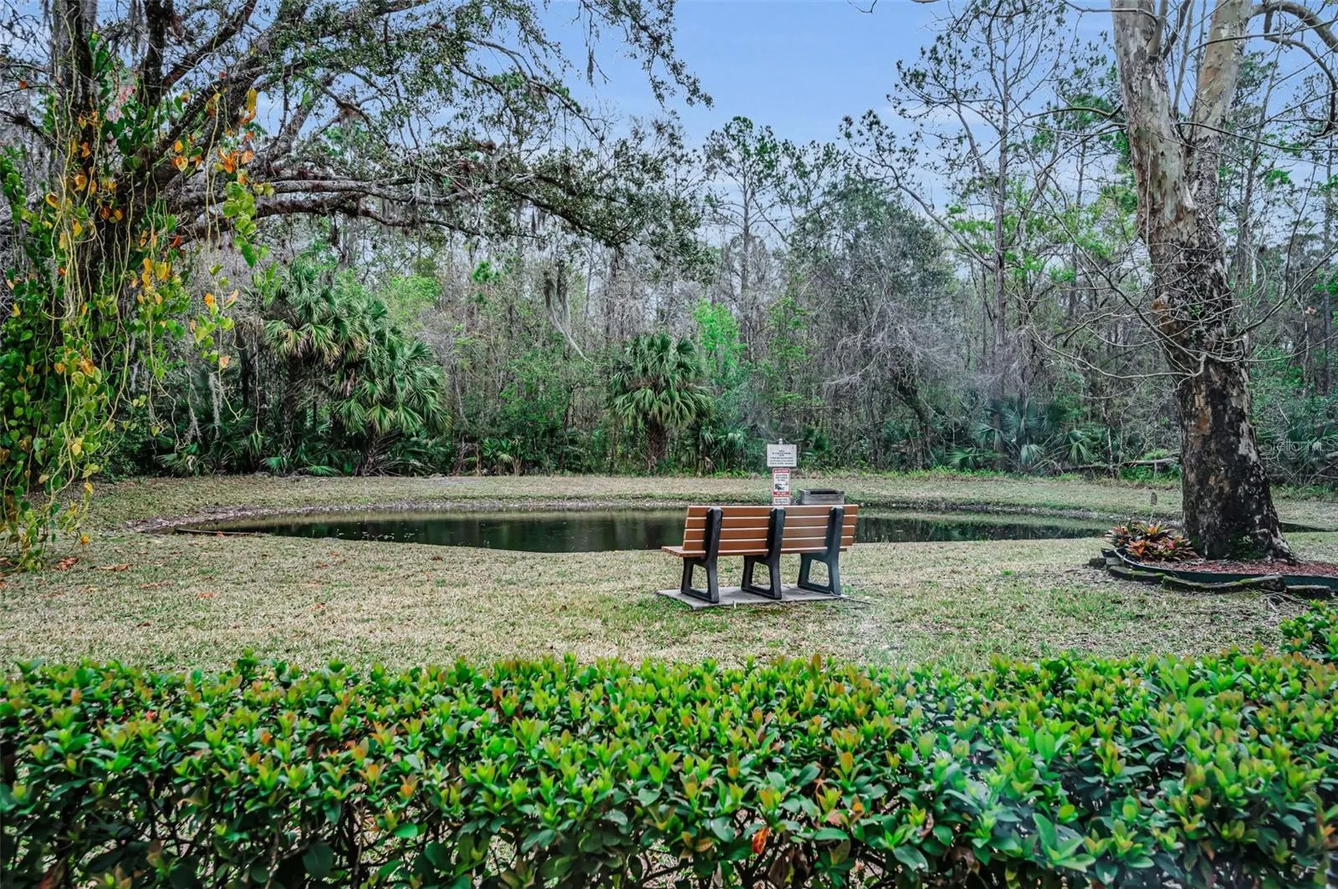 3232 Lake Pine Way E Tarpon Springs FL 34688