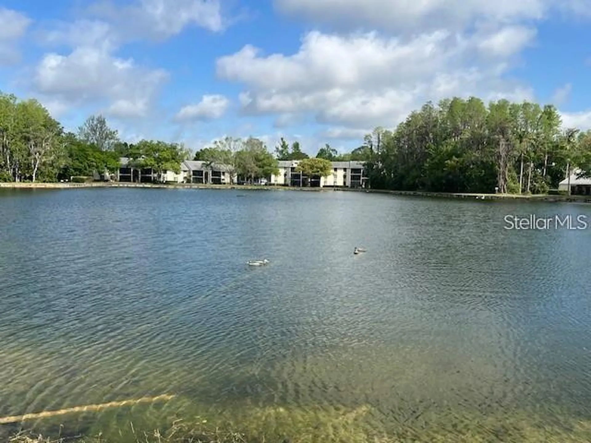 3232 Lake Pine Way E Tarpon Springs FL 34688