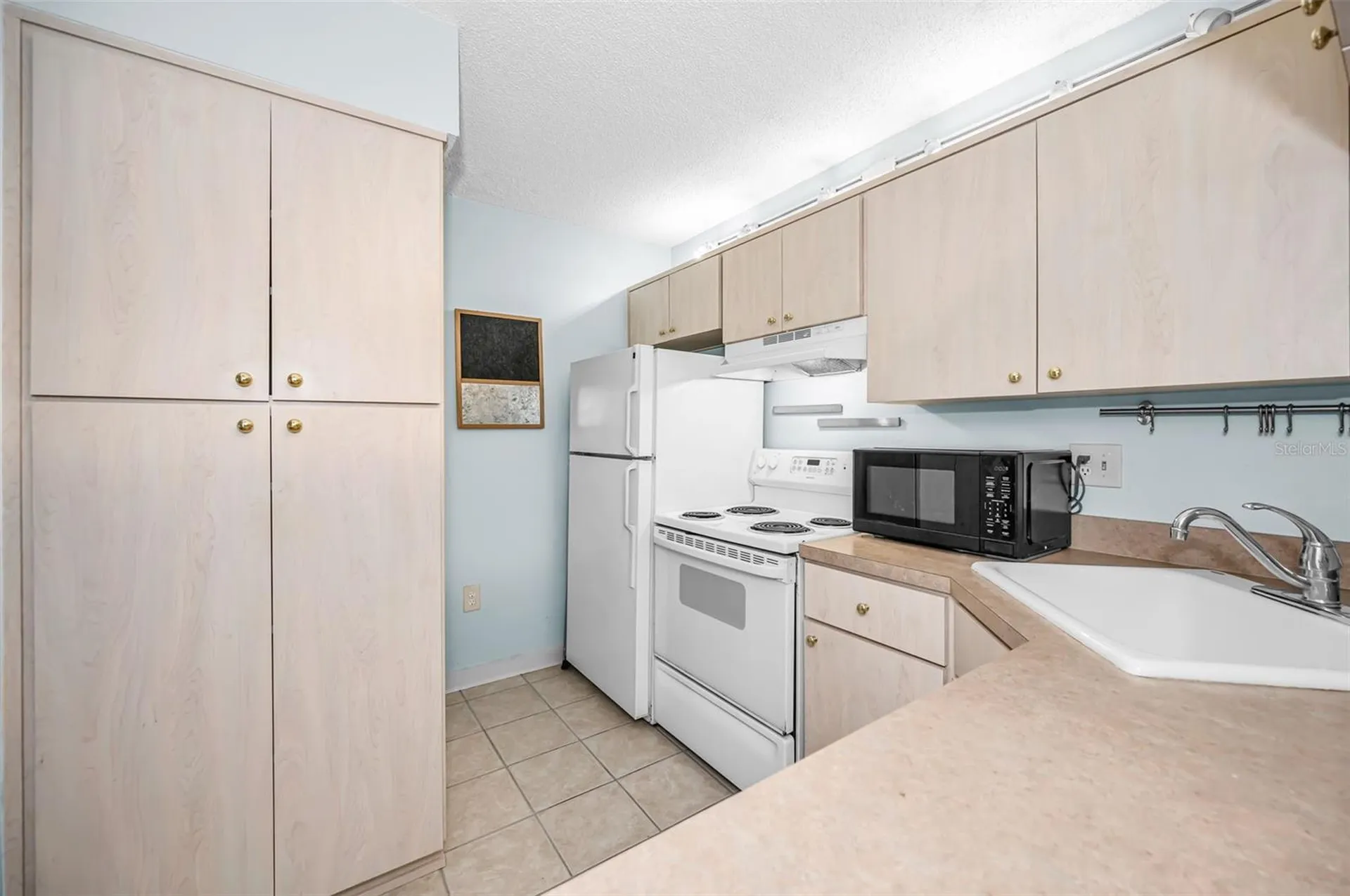 3232 Lake Pine Way E Tarpon Springs FL 34688