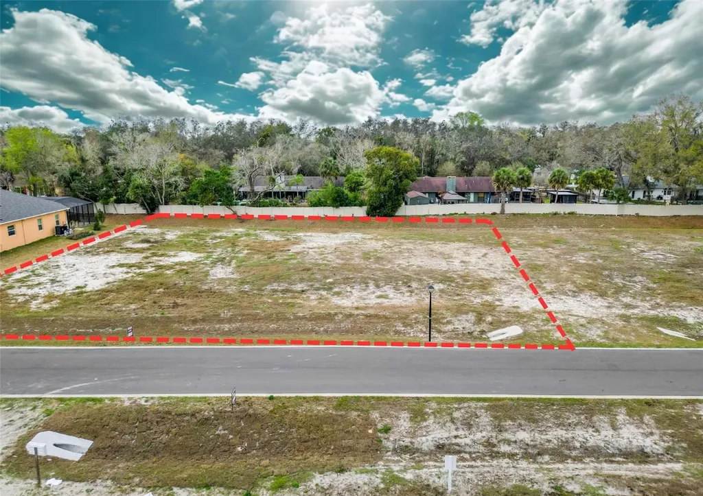 18442 Purple Creek Lane Lutz FL 33549