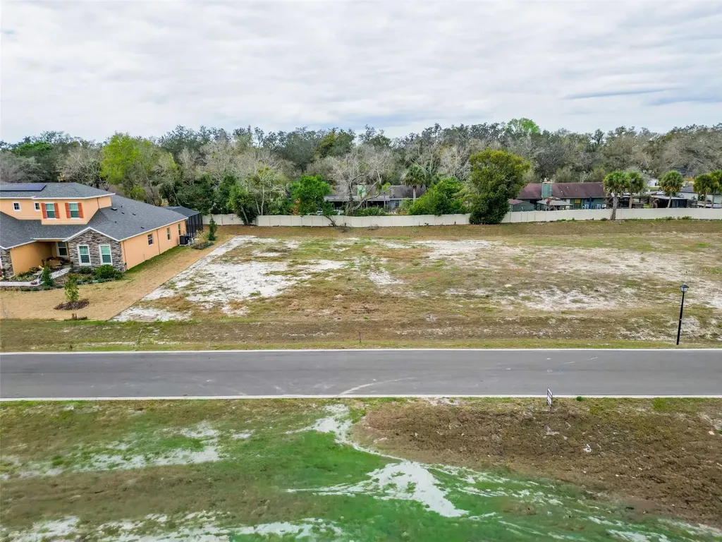 18442 Purple Creek Lane Lutz FL 33549