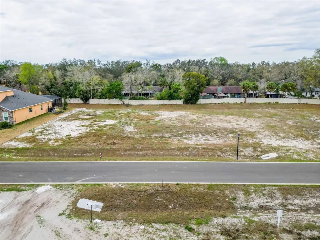18442 Purple Creek Lane Lutz FL 33549