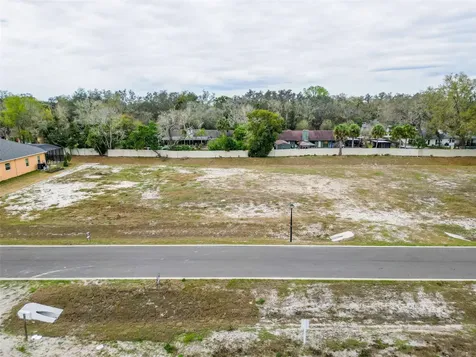 18442 Purple Creek Lane Lutz FL 33549