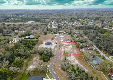 18442 Purple Creek Lane Lutz FL 33549