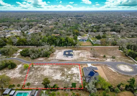18442 Purple Creek Lane Lutz FL 33549