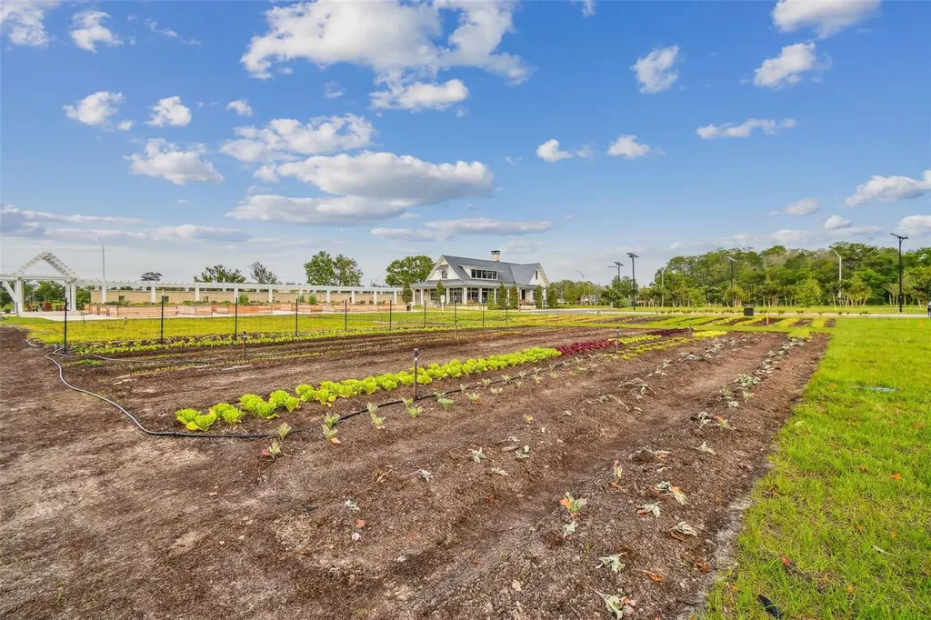 11032 Crescent Deer Drive Land O Lakes FL 34638