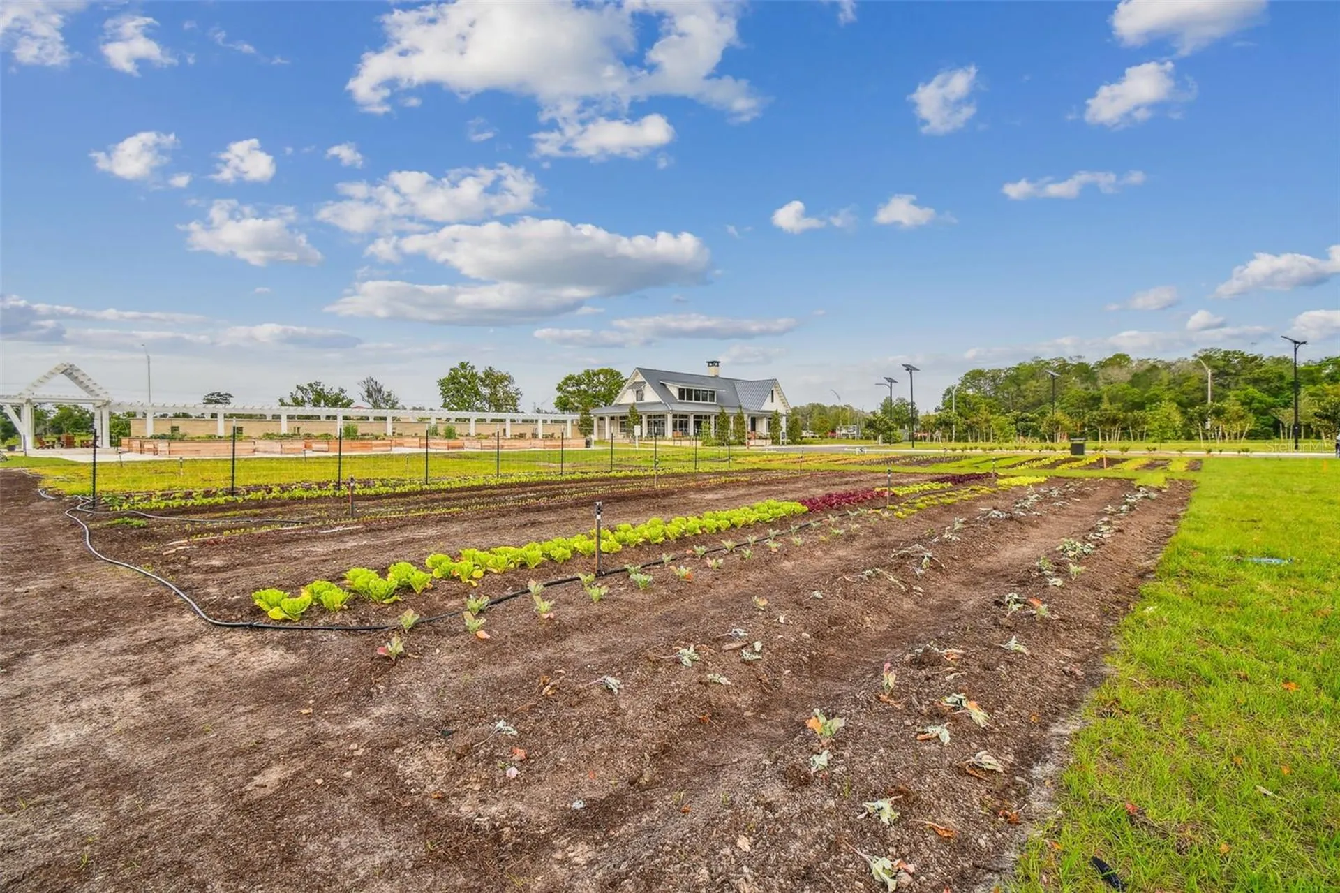 11032 Crescent Deer Drive Land O Lakes FL 34638