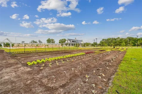 11032 Crescent Deer Drive Land O Lakes FL 34638