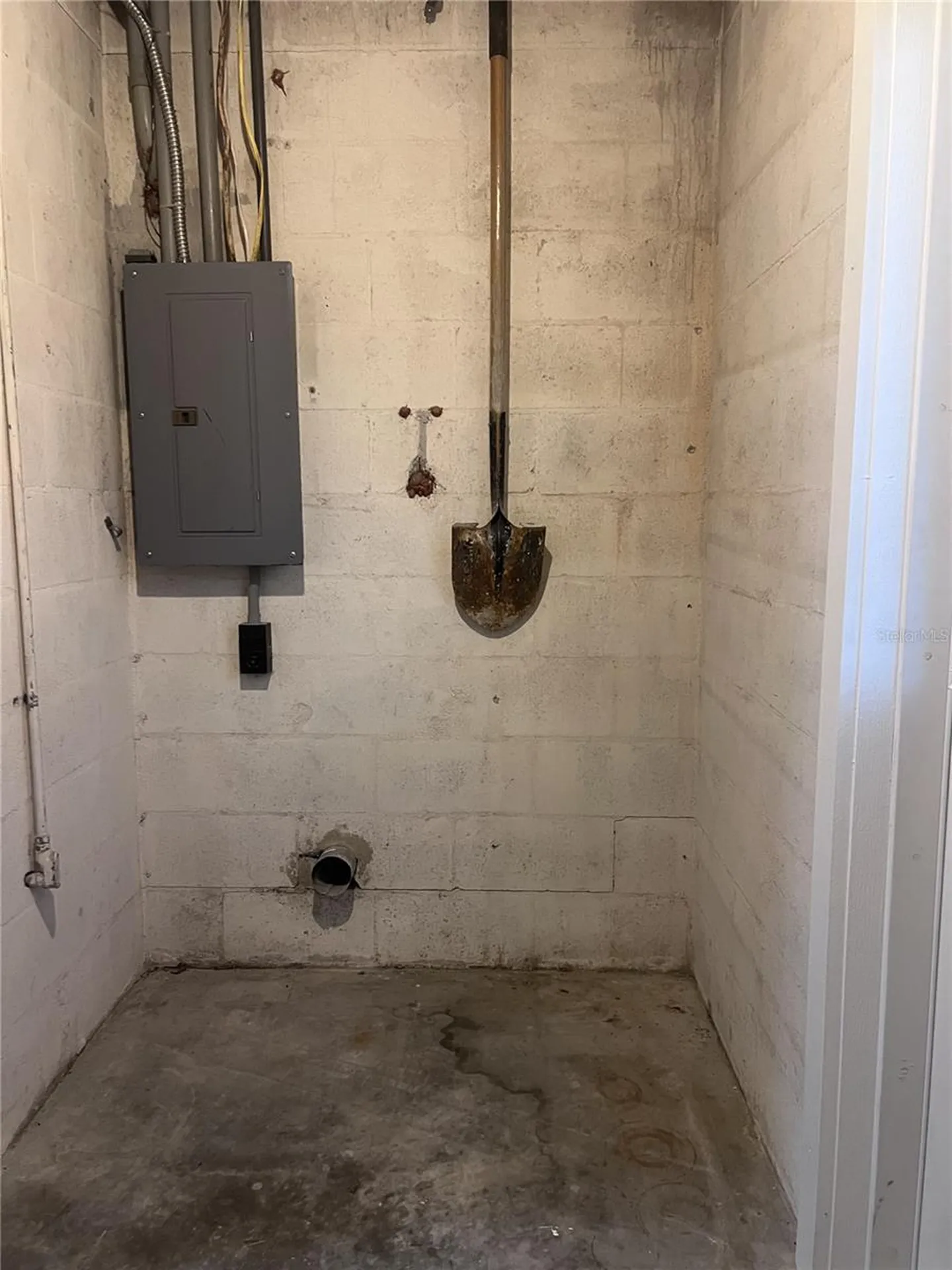 2495 Baywood Drive E Dunedin FL 34698