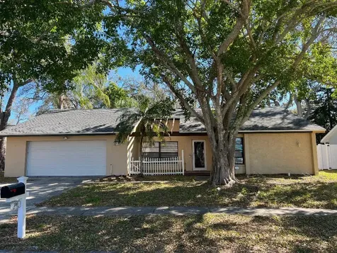 200 Arbor Drive W Palm Harbor FL 34683