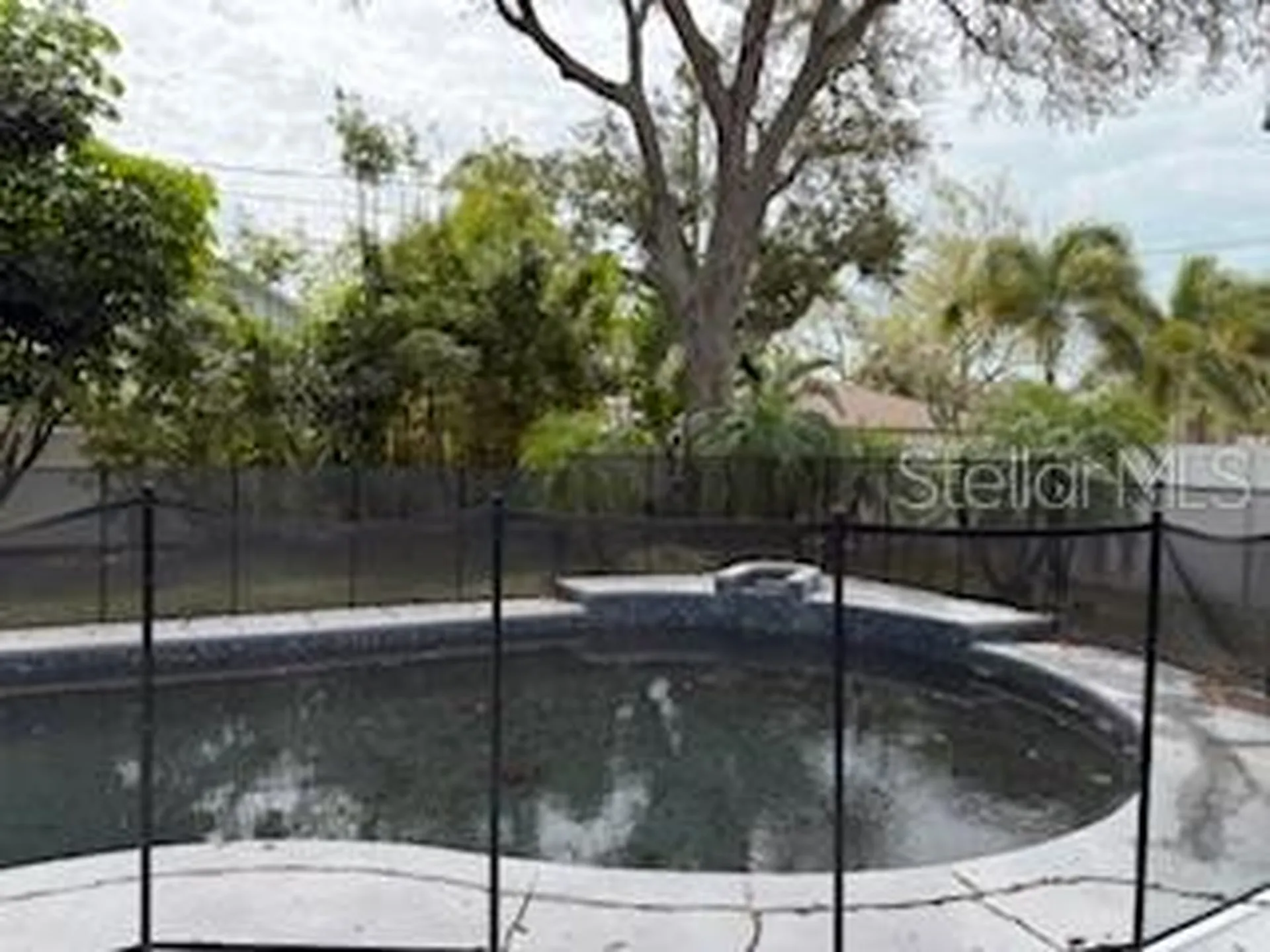 1701 Avoca Drive Tarpon Springs FL 34689