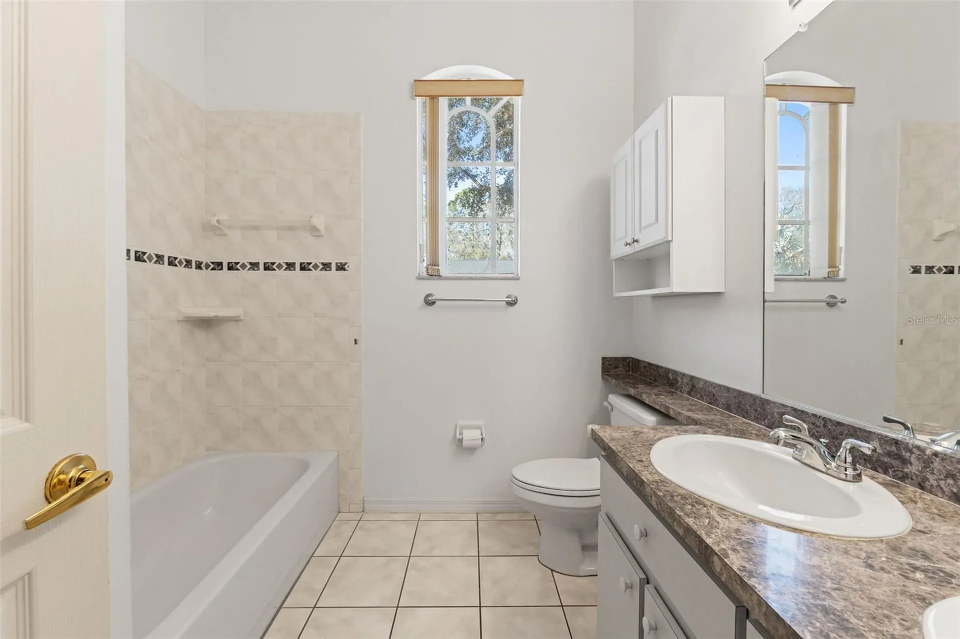 4730 Mahogany Court Land O Lakes FL 34639