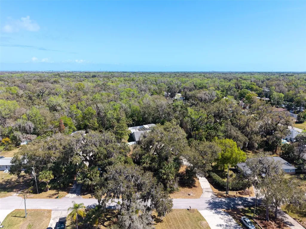 893 Bolton Road New Smyrna Beach FL 32168