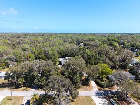 893 Bolton Road New Smyrna Beach FL 32168