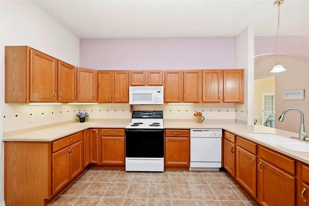 3810 Street Emma Court Leesburg FL 34748
