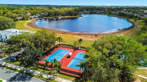 3810 Street Emma Court Leesburg FL 34748