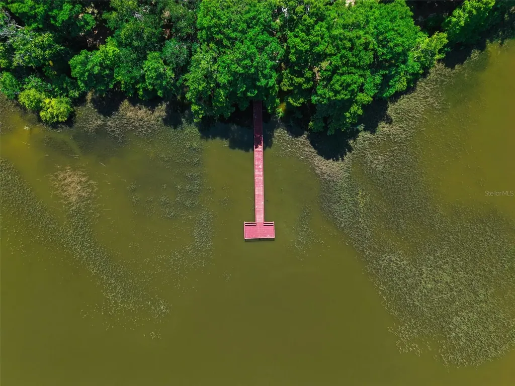 1224 Palmetto Road Eustis FL 32726